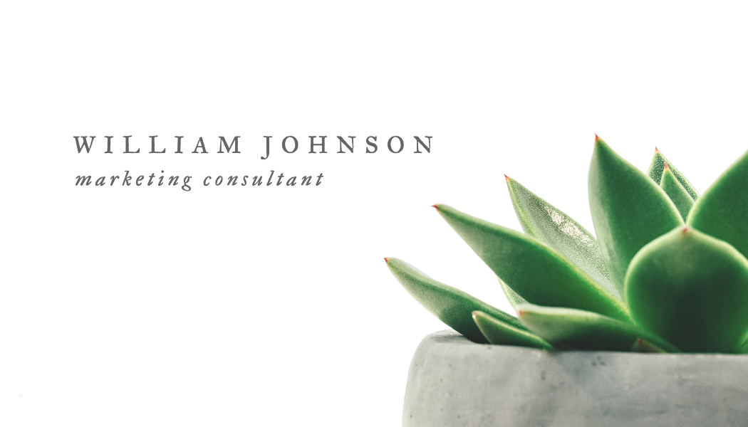 Green Succulent Consulting Business Card business card template