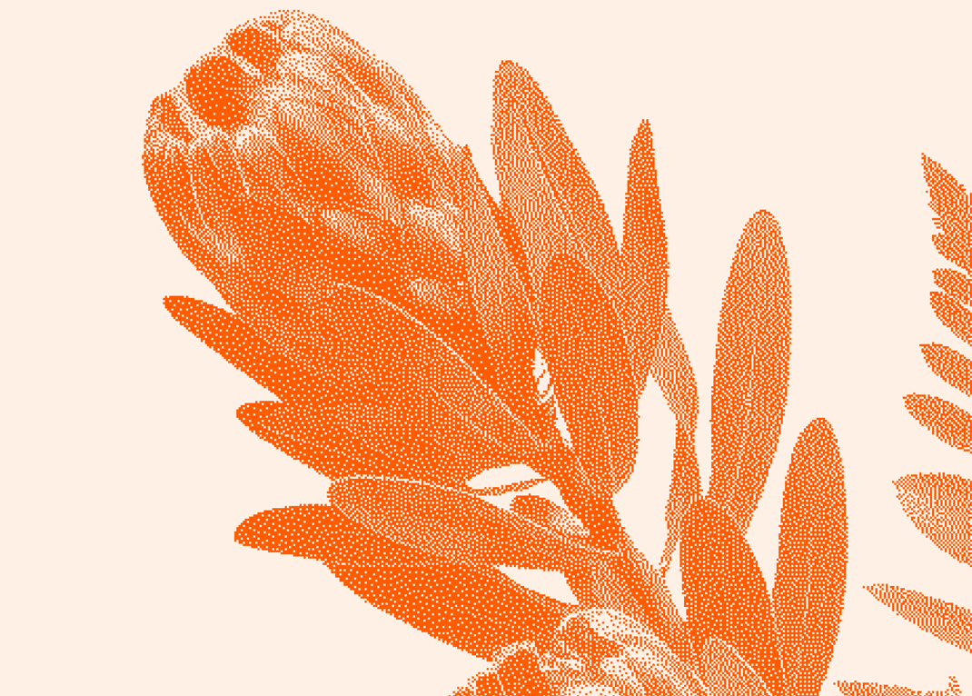 Floral illustration converted into bitmap art with halftone dots and a custom color palette